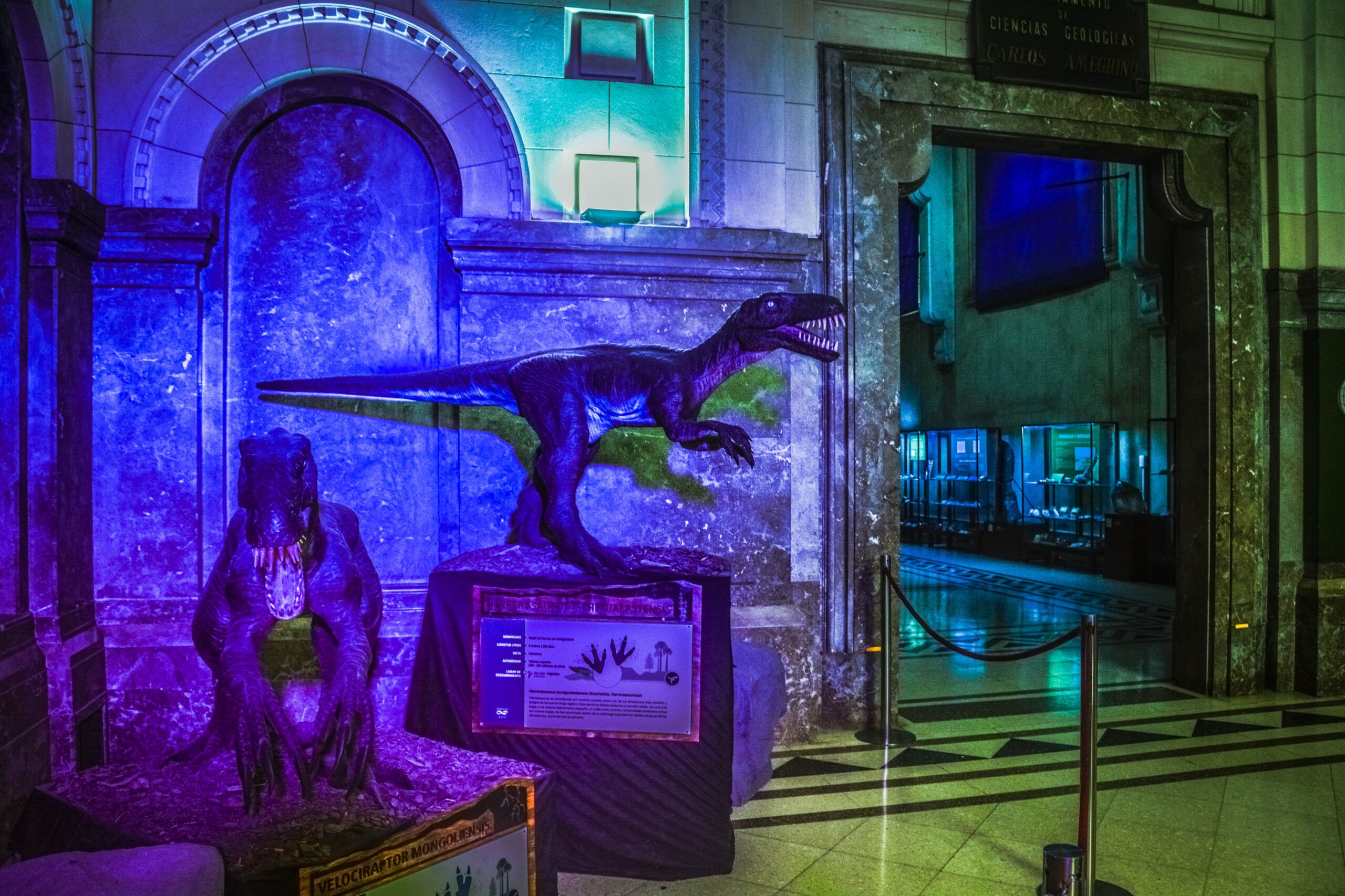 DINOSAURIOS HALL Scaled