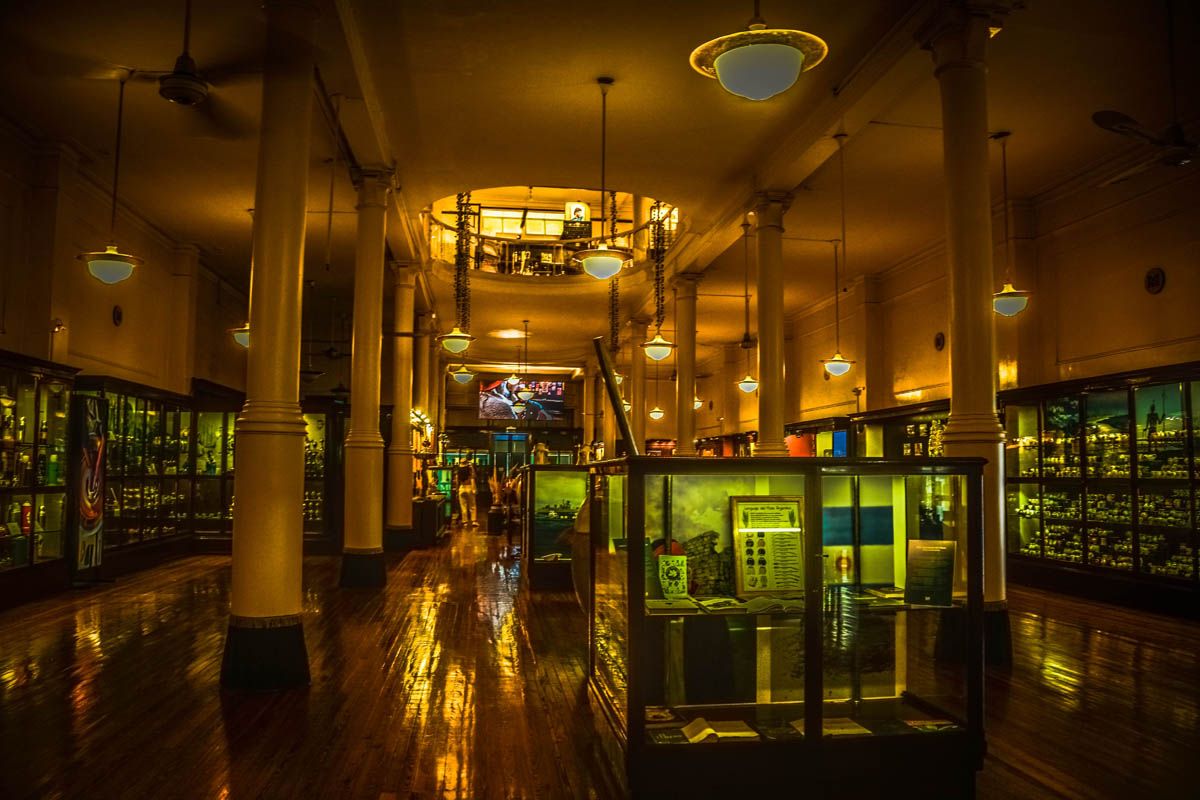 Hall Museo Del Mate 1