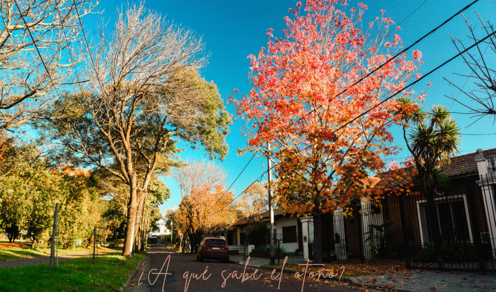 a qué sabe el otoño