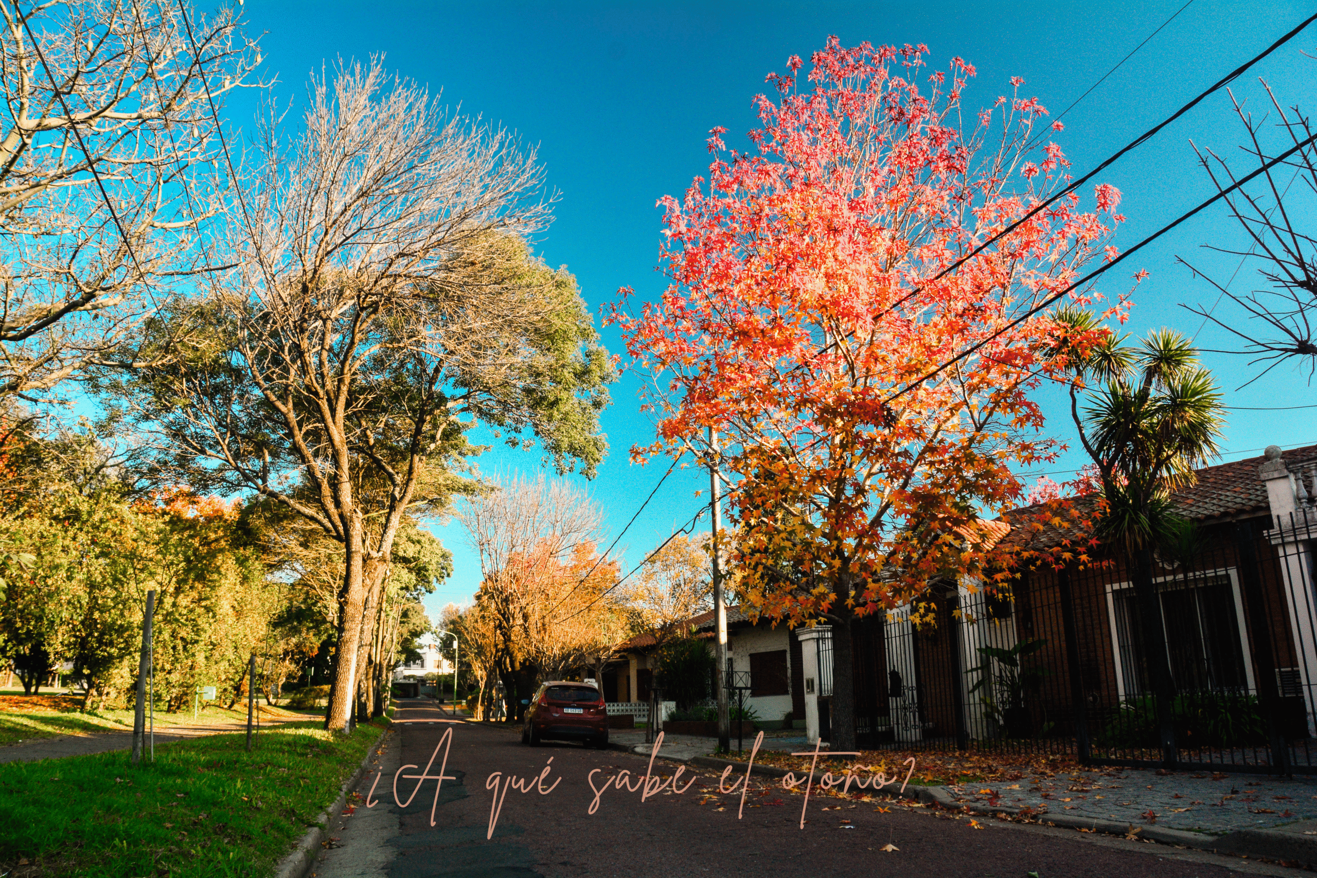 a qué sabe el otoño